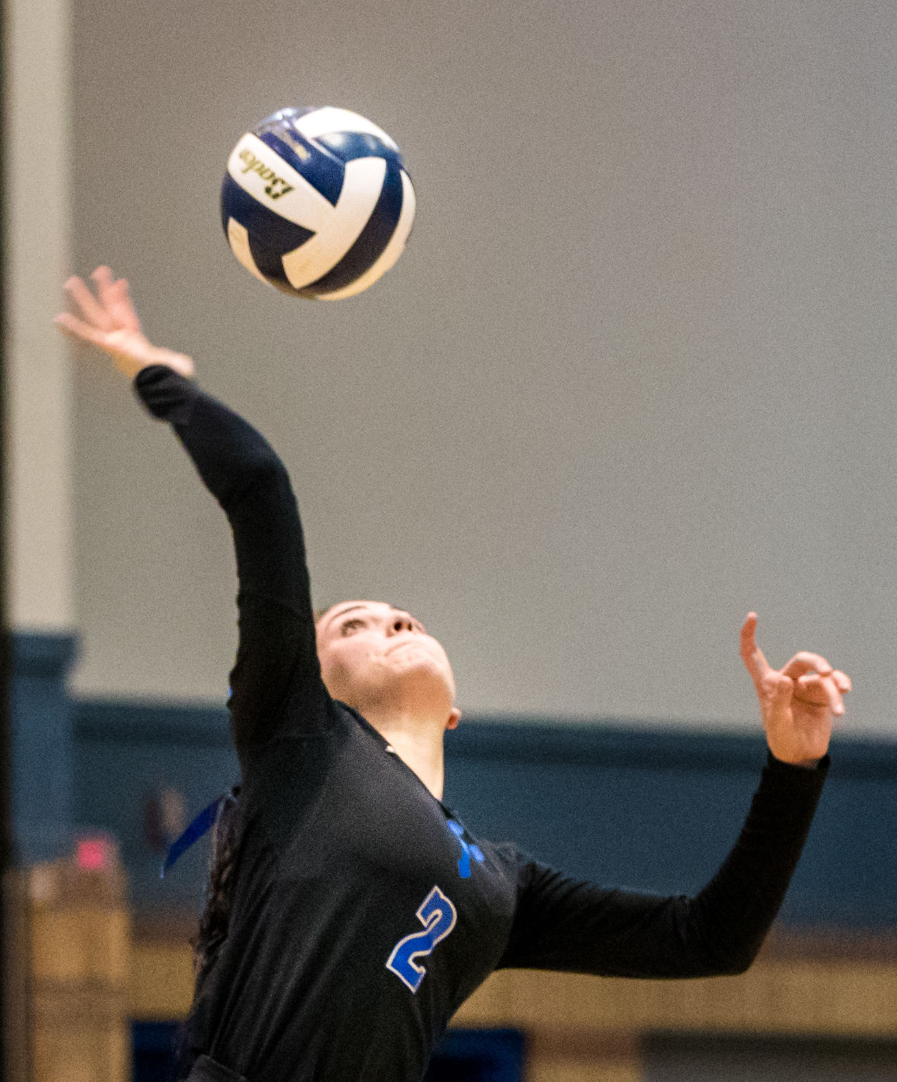 no.volleyballdivisionIII.111118.10.JPG